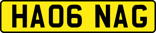 HA06NAG