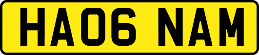 HA06NAM