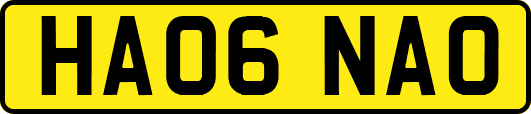 HA06NAO