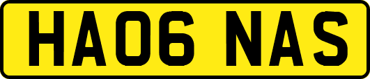 HA06NAS