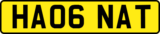 HA06NAT