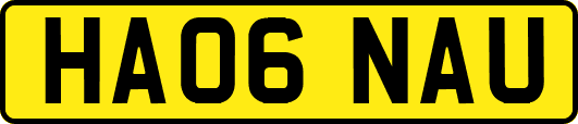 HA06NAU