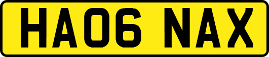 HA06NAX