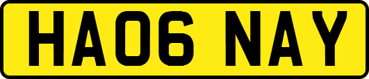 HA06NAY