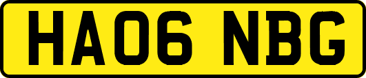 HA06NBG