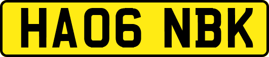 HA06NBK