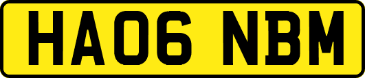 HA06NBM