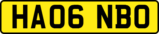HA06NBO