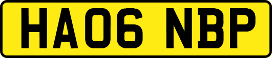 HA06NBP