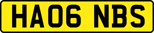 HA06NBS