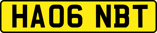 HA06NBT