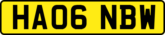 HA06NBW