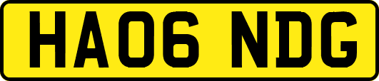 HA06NDG