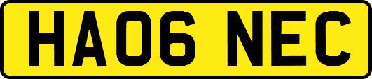 HA06NEC
