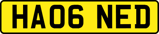 HA06NED