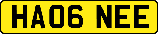 HA06NEE