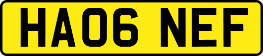 HA06NEF