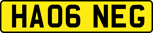 HA06NEG