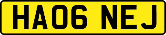 HA06NEJ