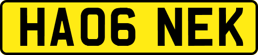 HA06NEK