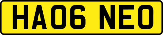 HA06NEO