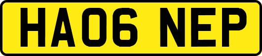 HA06NEP