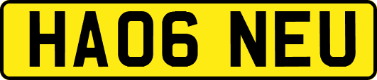 HA06NEU