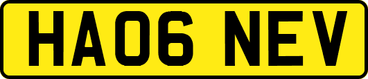 HA06NEV