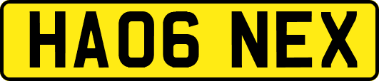 HA06NEX