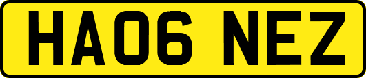 HA06NEZ