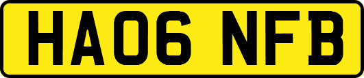 HA06NFB