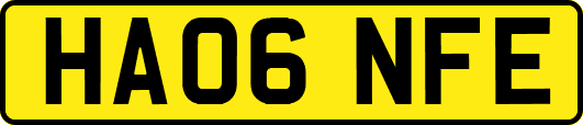 HA06NFE