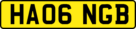 HA06NGB
