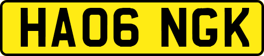 HA06NGK