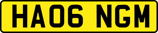 HA06NGM