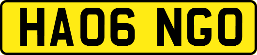 HA06NGO