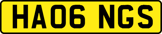 HA06NGS