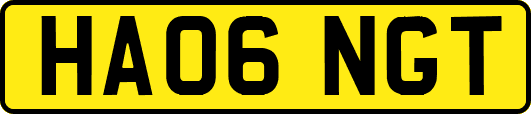 HA06NGT