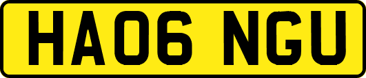 HA06NGU