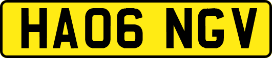HA06NGV