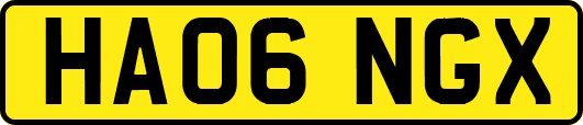 HA06NGX
