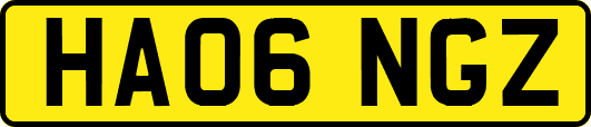 HA06NGZ