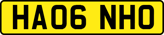 HA06NHO