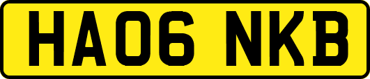 HA06NKB