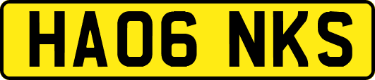 HA06NKS