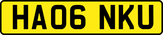 HA06NKU