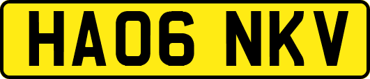 HA06NKV