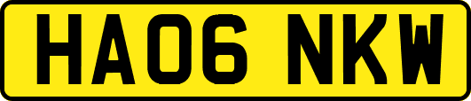HA06NKW