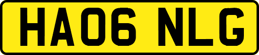 HA06NLG