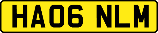 HA06NLM